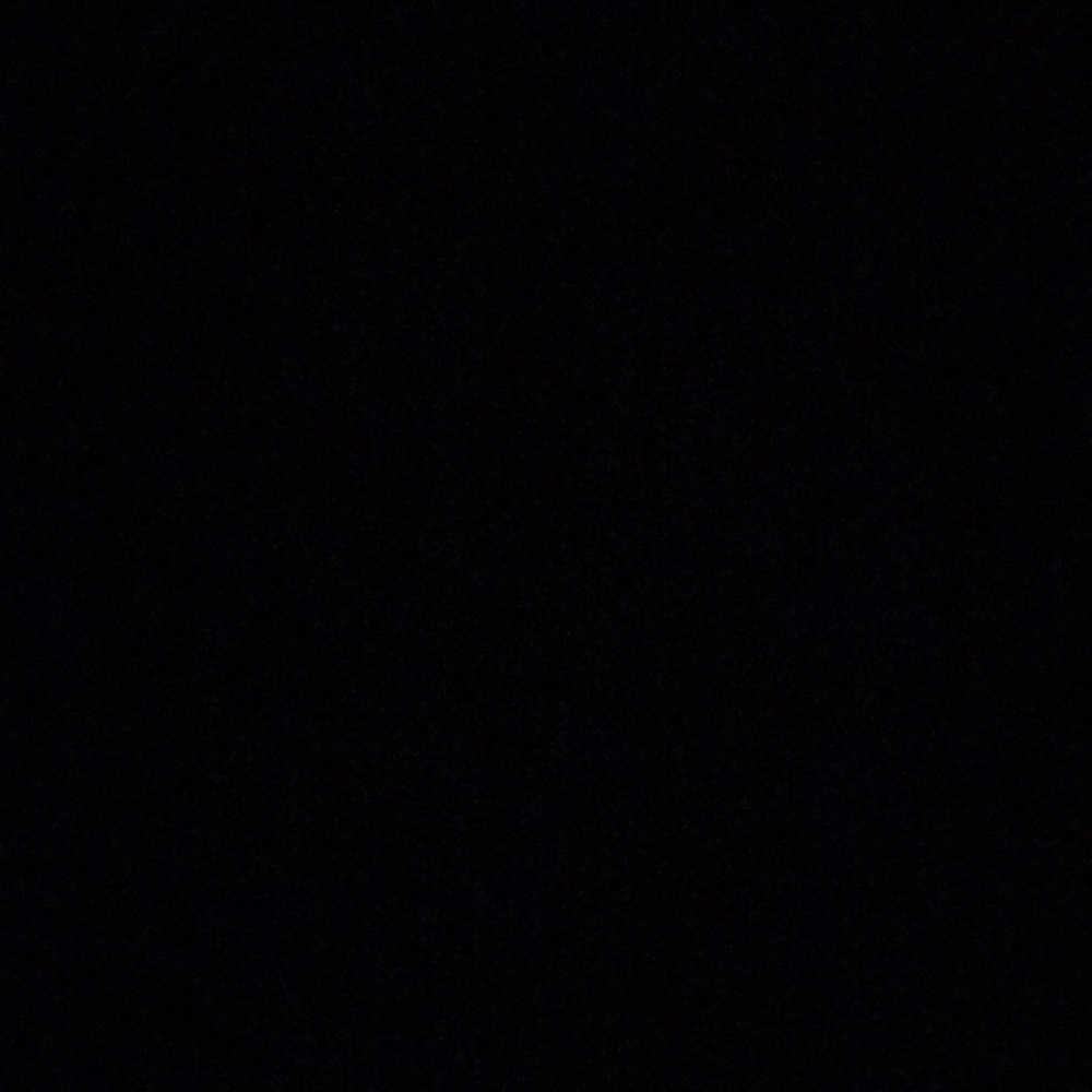 Meet your Posher, Ginger